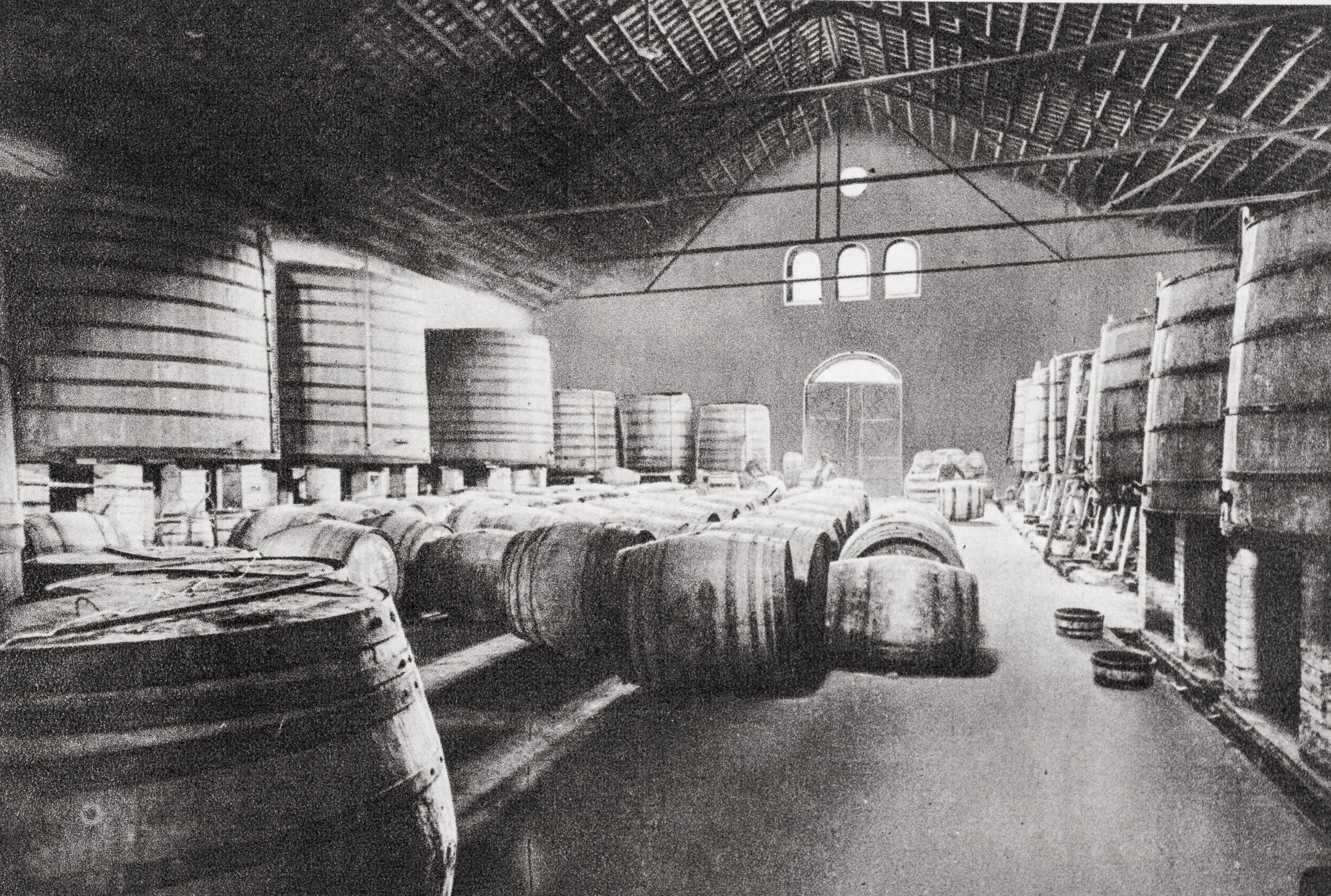 Década de 1930. Nave para la crianza de los vinos en la bodega de Vilafranca del Penedès, con barricas de 225 litros y conos o grandes cubas de madera de 125.000 litros de capacidades. 